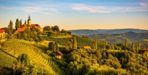 Les dix bonnes résolutions de l’amateur de vins et de spiritueux pour 2024