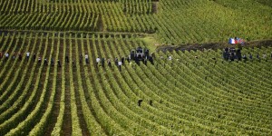 « Le vignoble français qui résiste le mieux » : des exportations de vins de Bourgogne à des niveaux records