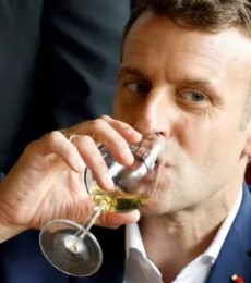 Macron désigné personnalité de l'année 2022 par la Revue du vin de France